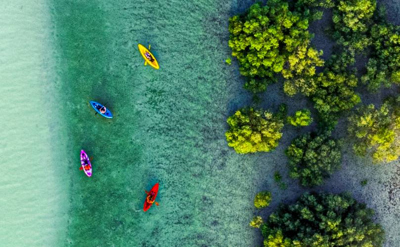 Colorful kayaks on a light green water