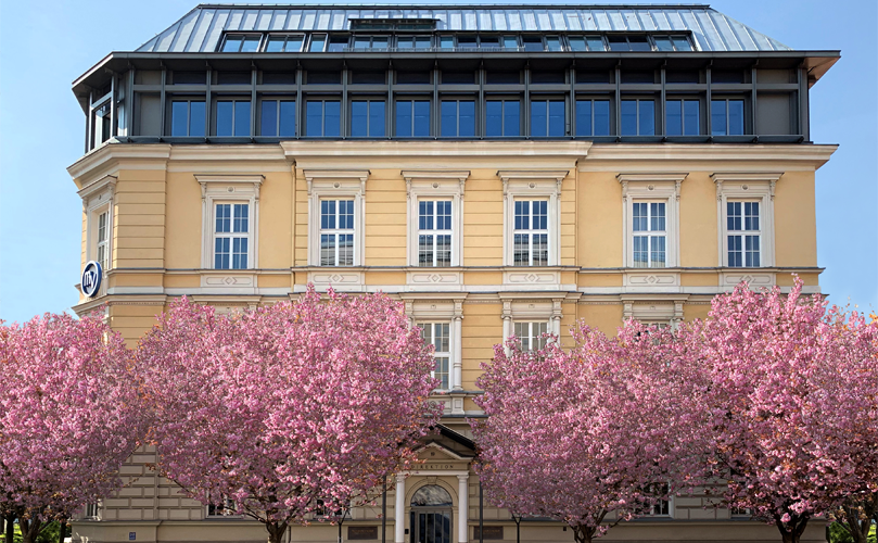 A view of cherry blossoms and buildings