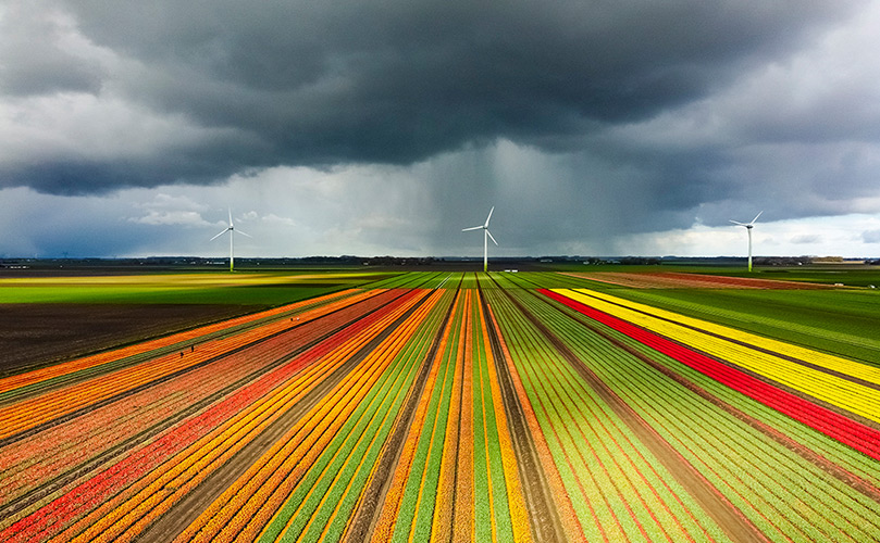 Large fields and wind power
