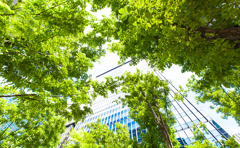 Images of the Business Tower and Green Leaves