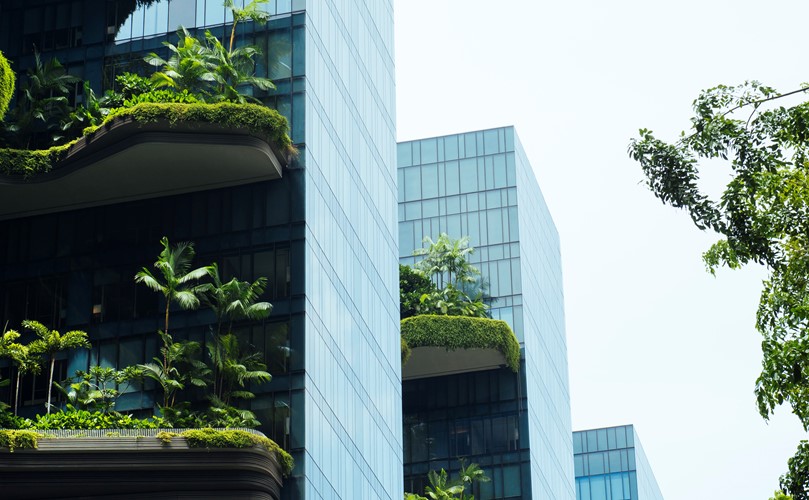 Buildings made of glass with balconies full of planted trees